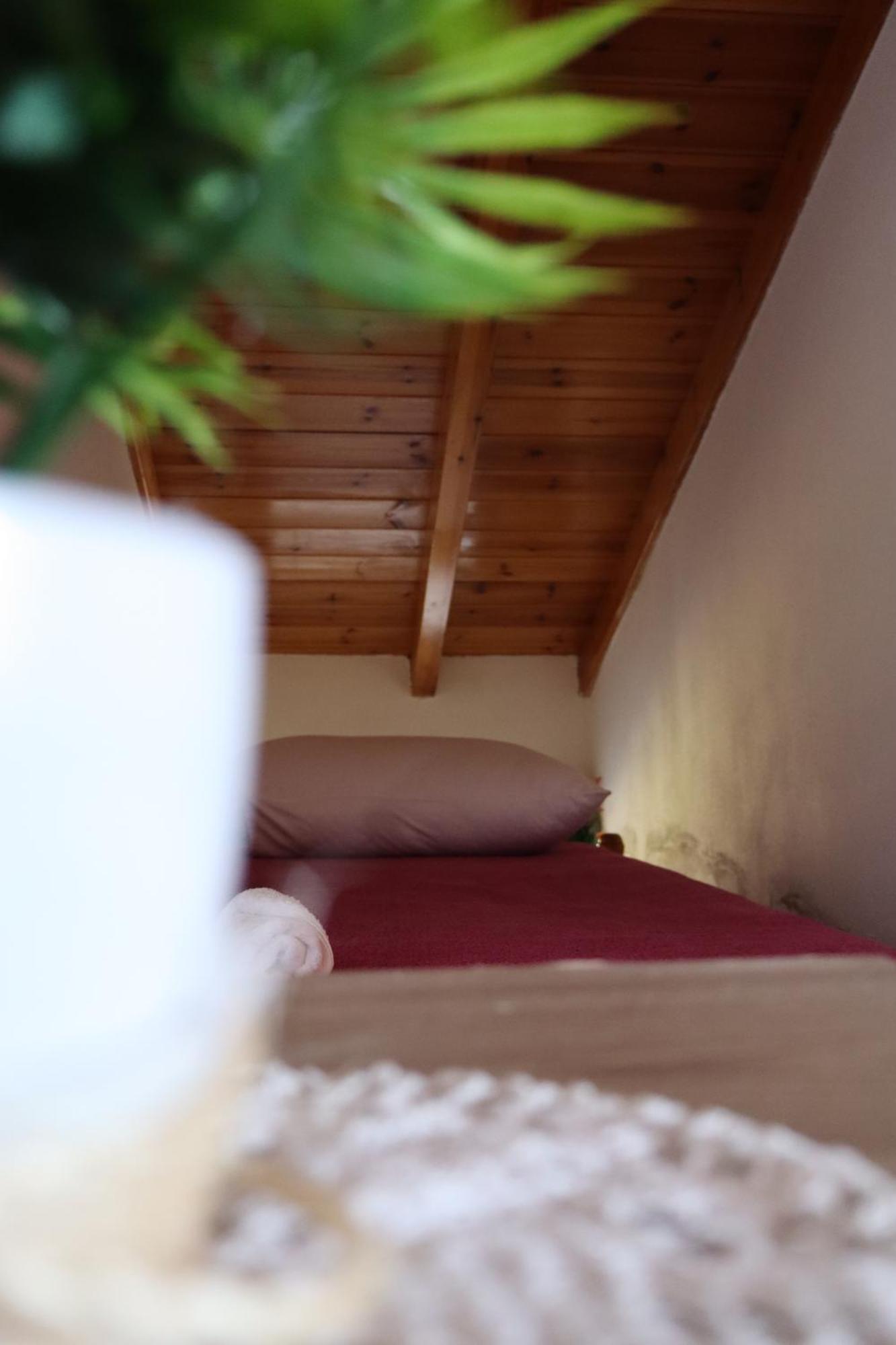Bujtina Anlu Hotel Nepravishte Bagian luar foto