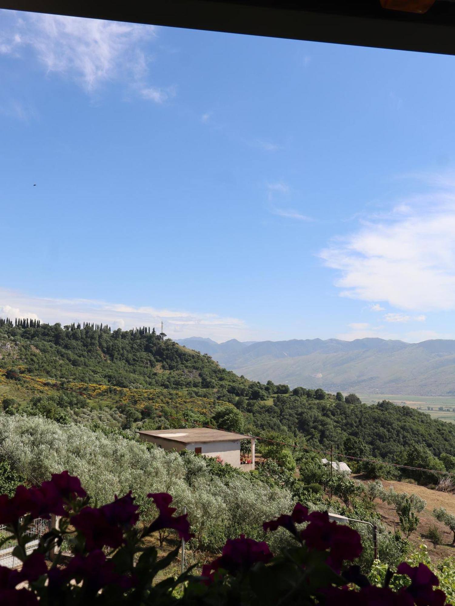 Bujtina Anlu Hotel Nepravishte Bagian luar foto