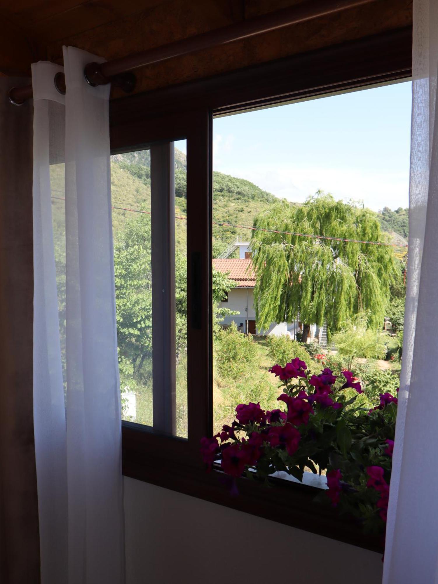 Bujtina Anlu Hotel Nepravishte Bagian luar foto